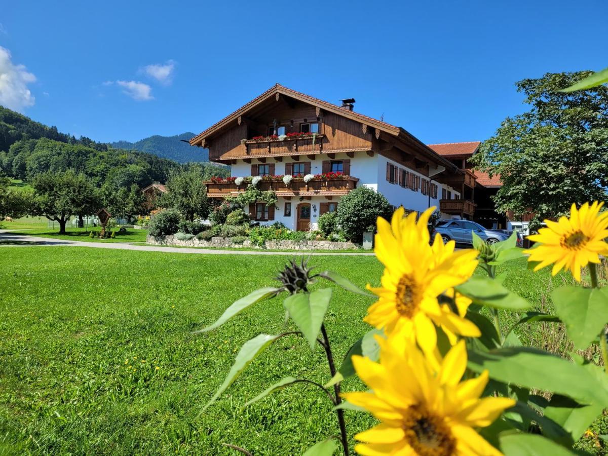 Апартаменти Hoderhof Ґрассау Екстер'єр фото